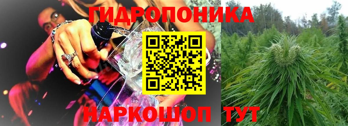 Марихуана SATIVA & INDICA  Вход с VPN  Краснознаменск  Шишки марихуана THC 21% 